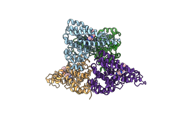 4D09 image