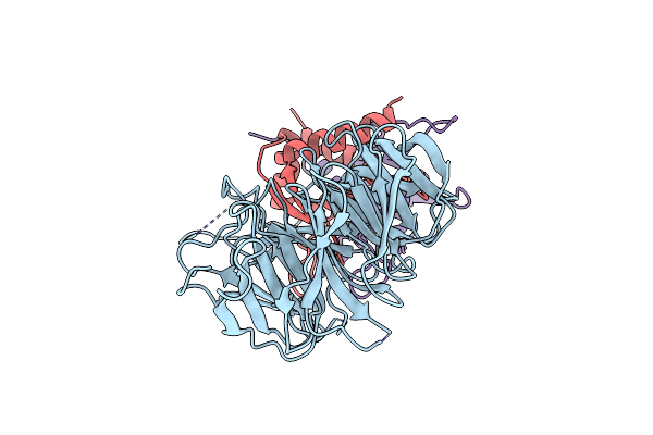 4D0K image