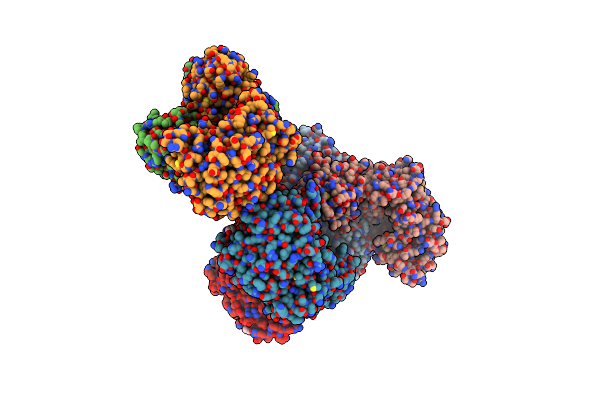 4D0T image