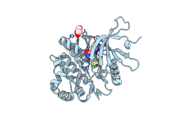4D0X image