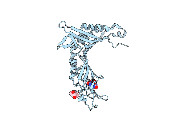 4D19 image