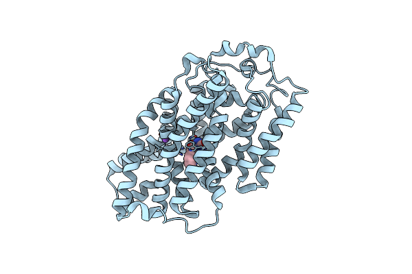4D1A image