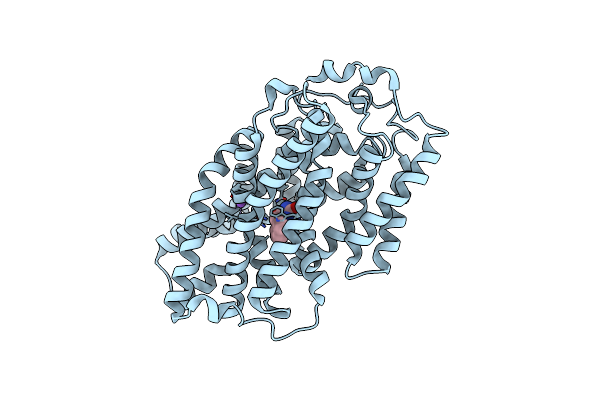 4D1B image