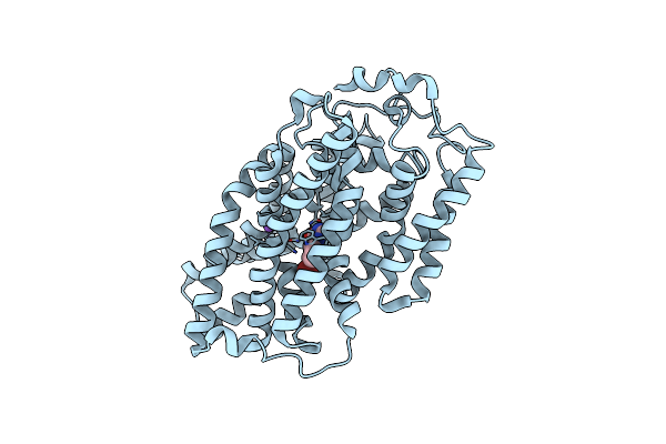 4D1C image