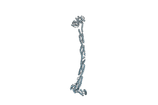 4D1E image