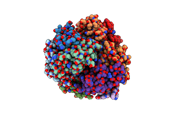 4D1F image