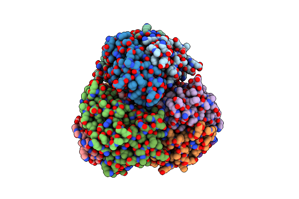 4D1G image