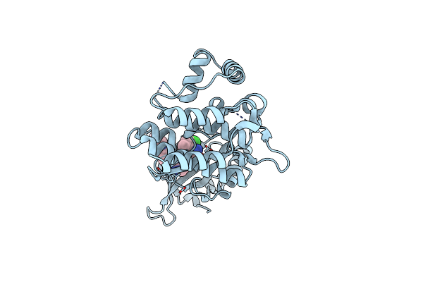 4D1S image