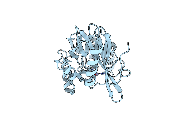 4D1T image