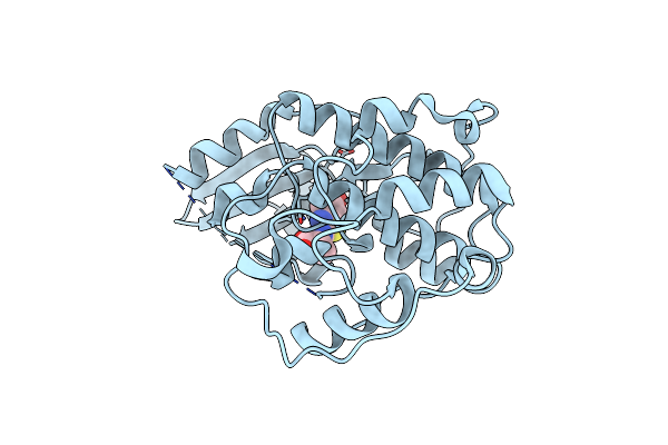 4D1X image