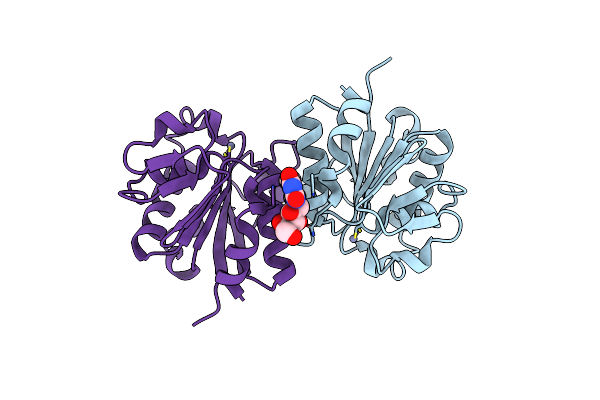4D1Y image