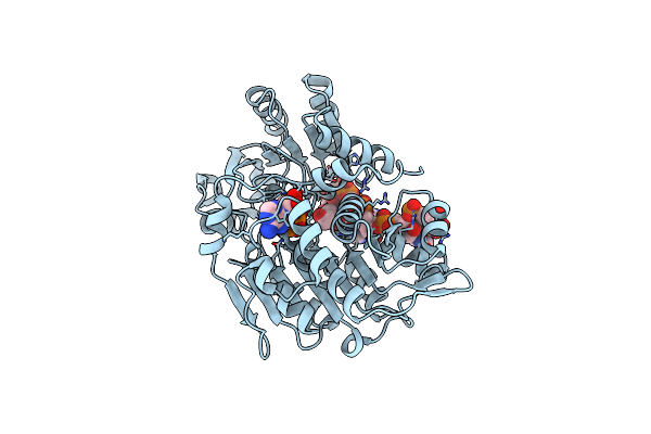 4D25 image