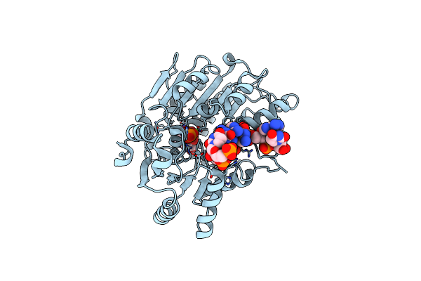4D26 image