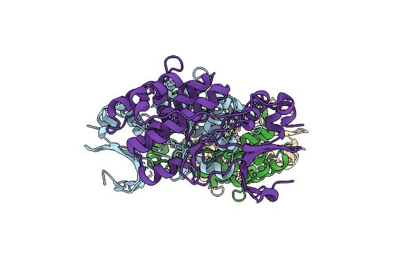 4D28 image