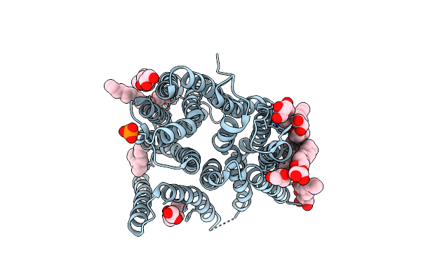 4D2B image