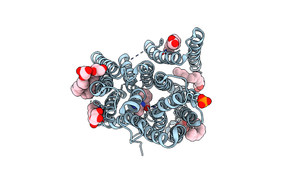 4D2C image