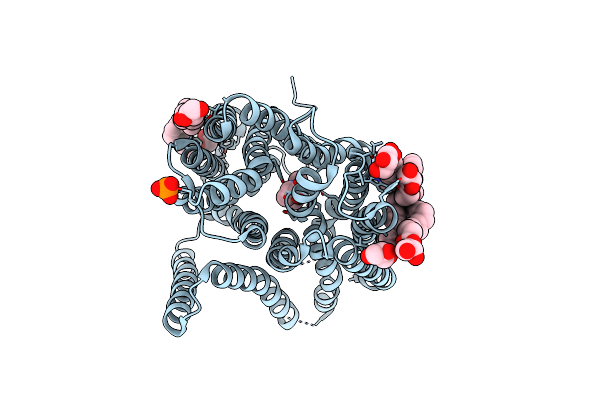 4D2D image