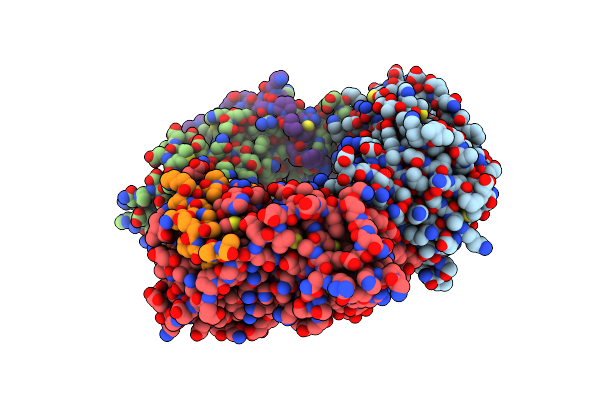 4D2G image