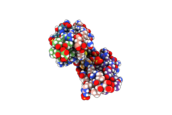 4D2H image