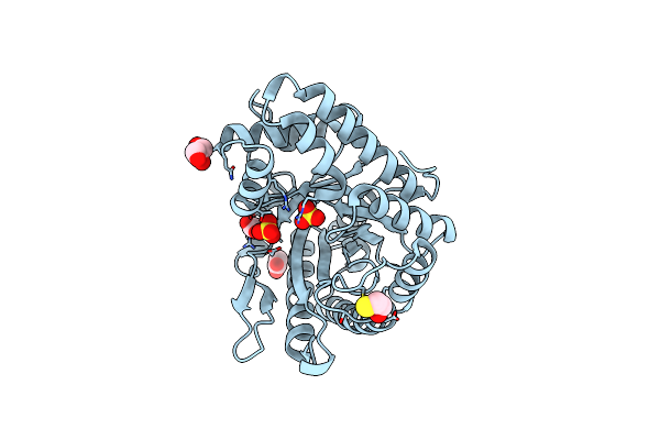 4D2J image