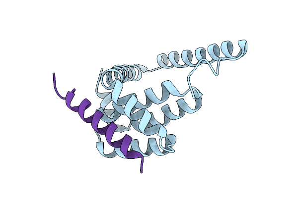 4D2L image