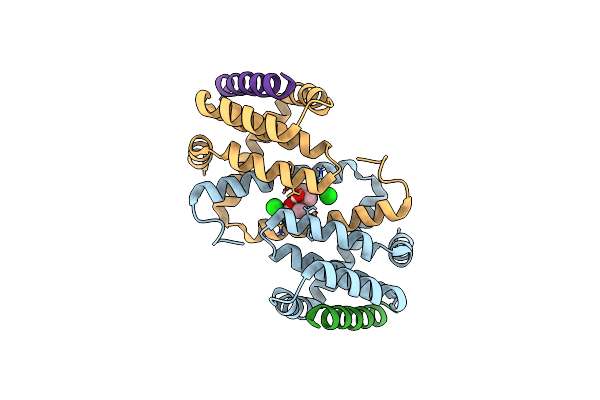 4D2M image