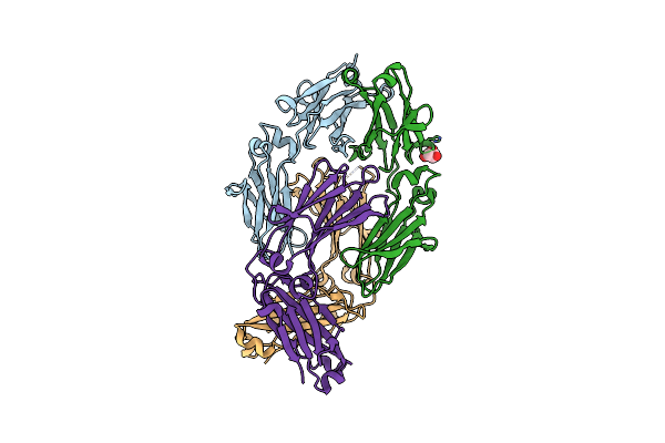 4D2N image