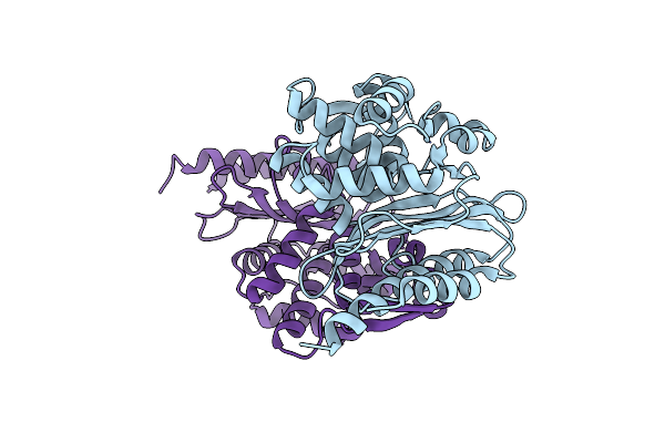 4D2O image