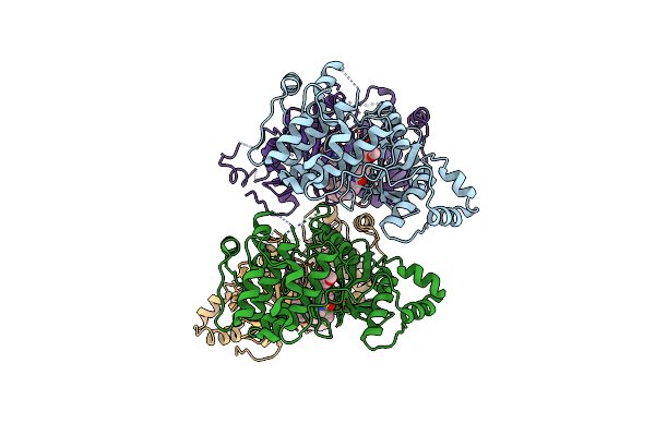 4D2P image