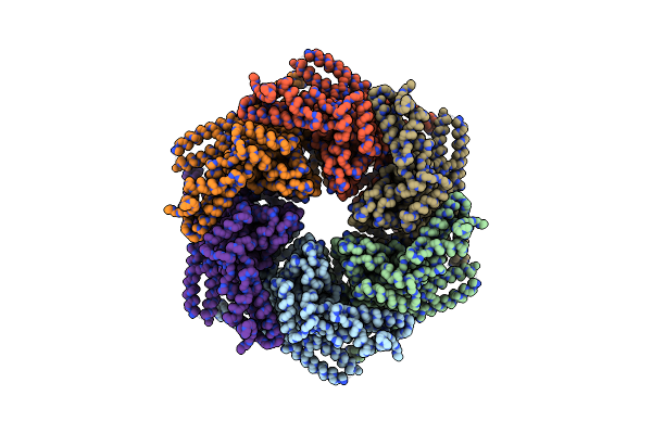 4D2Q image