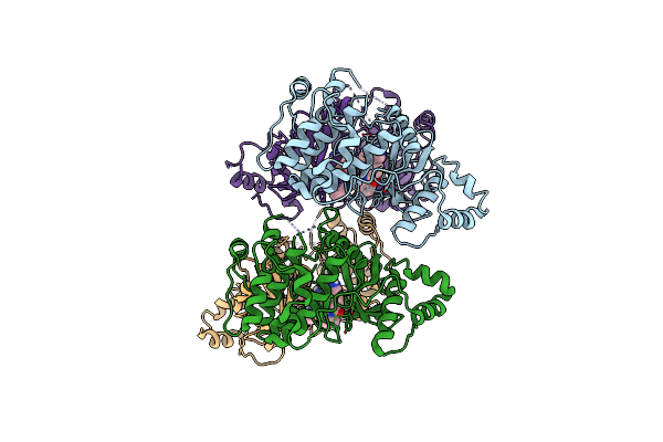 4D2T image