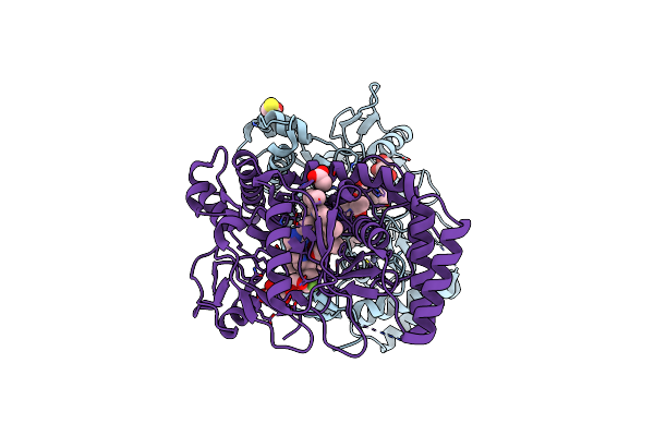 4D33 image