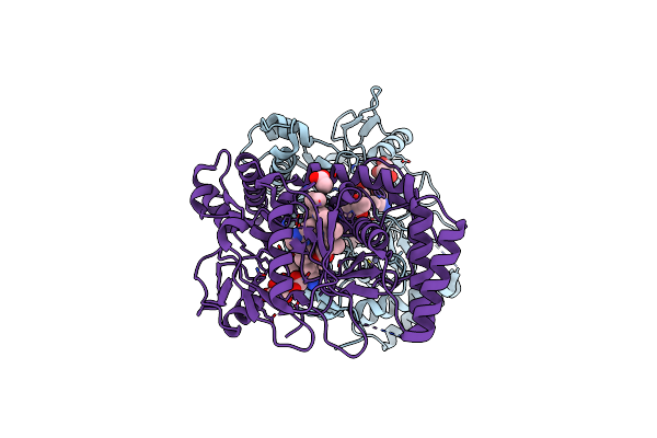 4D39 image