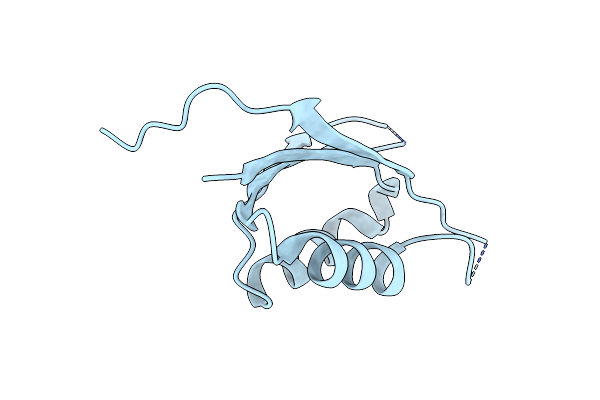 4D3G image