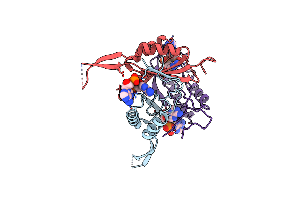 4D3H image
