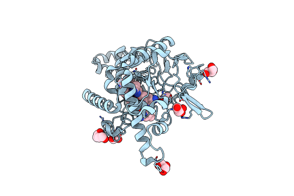 4D3J image