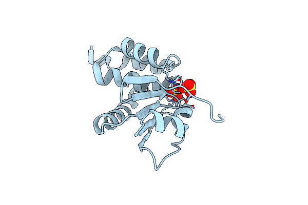 4D3P image