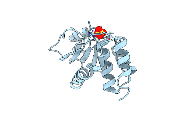 4D3R image