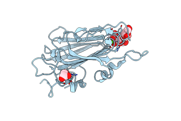 4D3W image