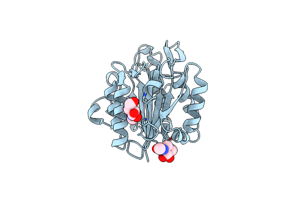 4D3X image