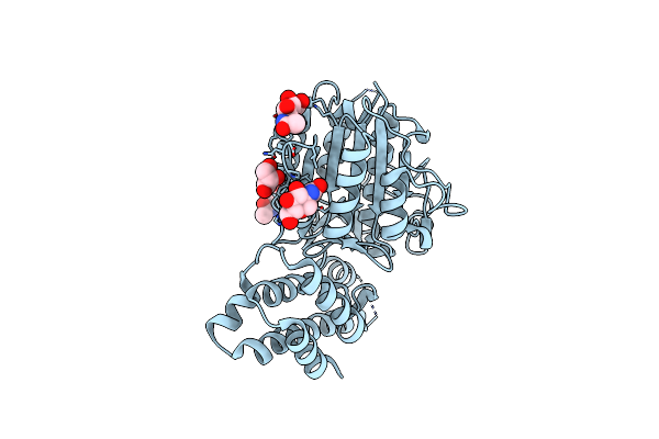 4D3Y image