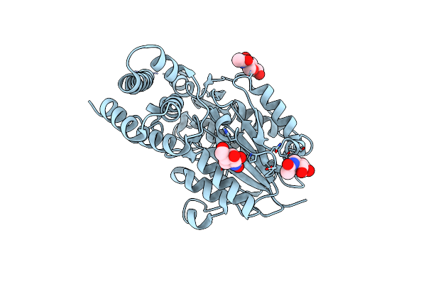 4D3Z image