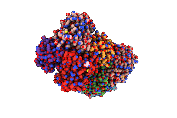 4D42 image