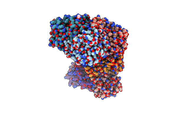 4D43 image