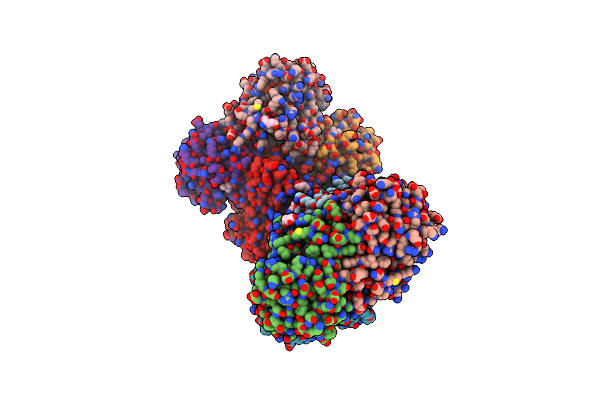 4D44 image