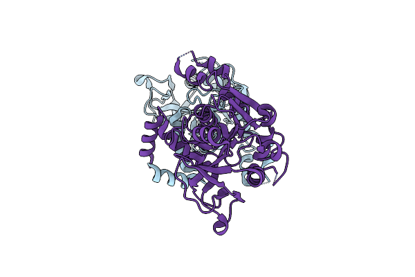 4D48 image