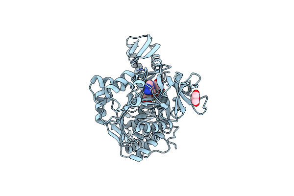 4D4G image