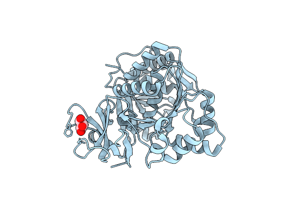 4D4H image