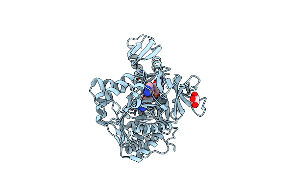 4D4I image