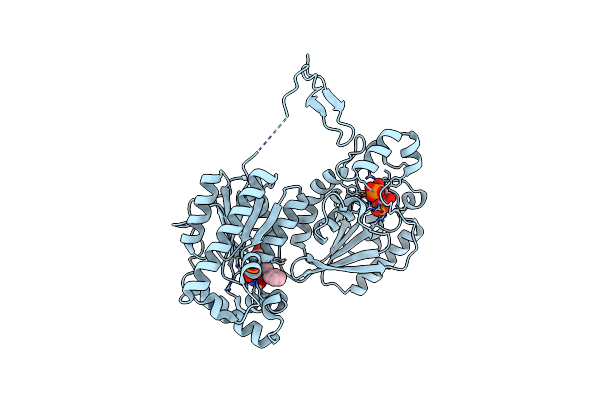 4D4K image